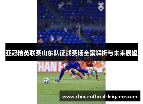 亚冠精英联赛山东队征战赛场全景解析与未来展望