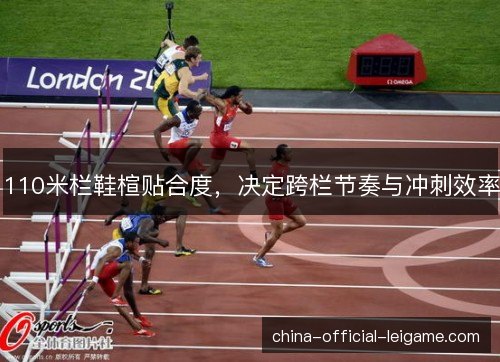 110米栏鞋楦贴合度,决定跨栏节奏与冲刺效率 110米栏鞋楦贴合度,决定跨栏节奏与冲刺效率